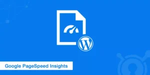 google pagespeed insights wordpress lg1